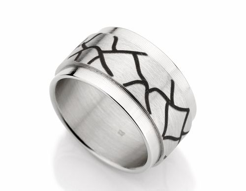 STAINLESS STEEL RING